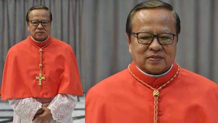 Phỏng vấn Đức Hồng Y Ignatius Suharyo về chuyến tông du của Đức Thánh Cha đến Indonesia