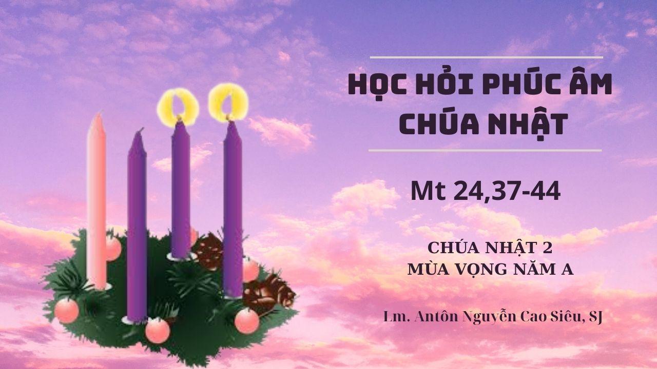 Học hỏi Phúc âm Chúa nhật 2 mùa Vọng năm A (Mt 3,1-12)