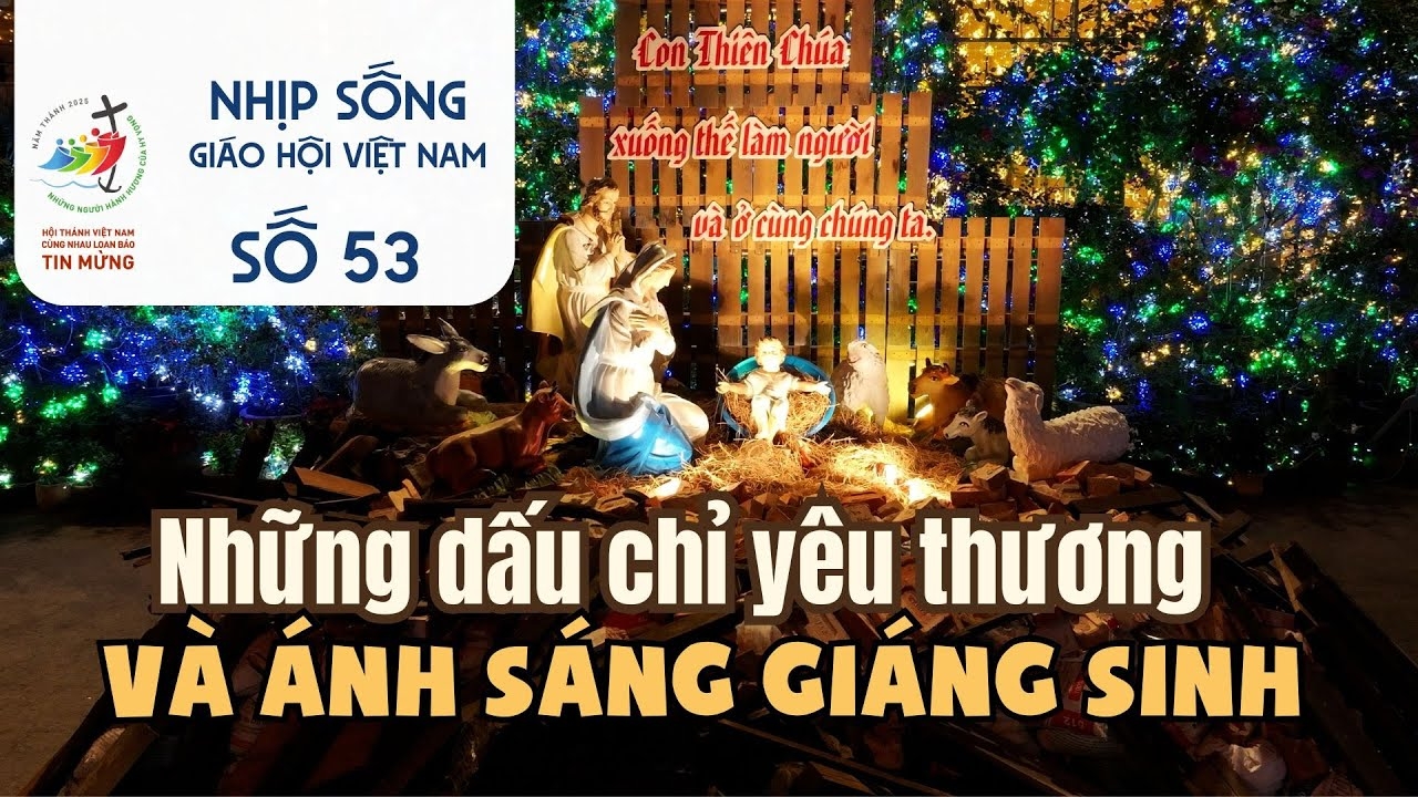 Những dấu chỉ yêu thương và ánh sáng Giáng sinh - Nhịp sống Giáo hội Việt Nam số 53 (22/12 - 27/12/2025)